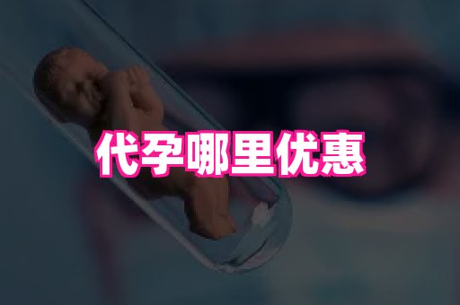 swisee孕网 3