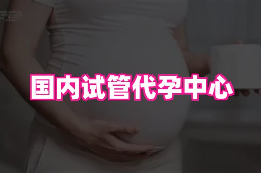 swisee孕网 4